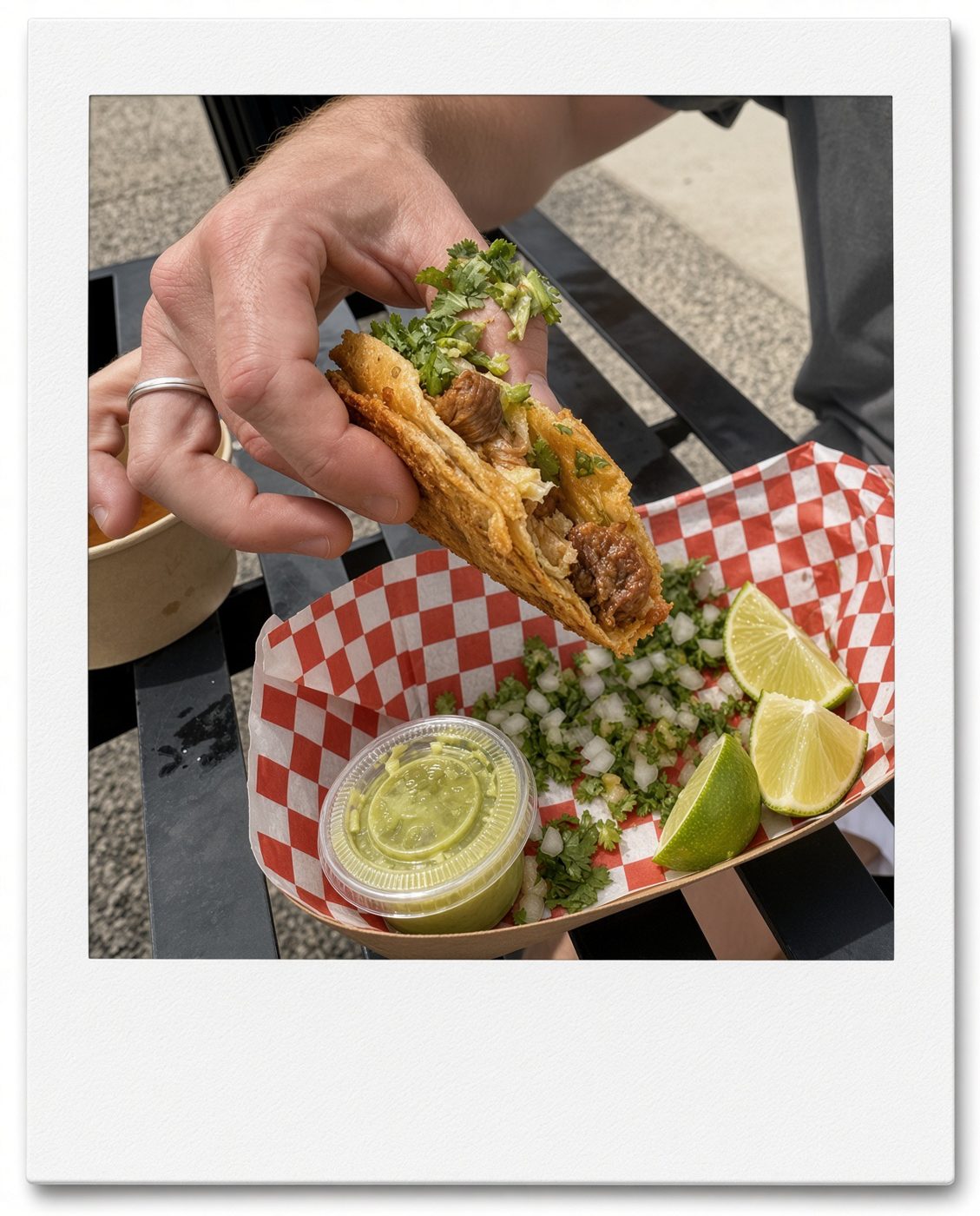 A crispy birria taco with cilantro, onion, lime and salsa verde